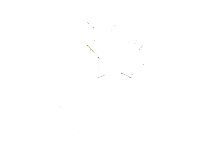 Star above hand icon illustrating Alpha PC’s dedication to quality, performance, and design as a leading custom PC builder in Toronto.